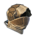 Wayfarer Head Armor's icon