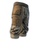 Wayfarer Leg Armor's icon