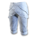 Arctic Leg Armor's icon