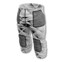Arctic Survival Legs Armor's icon