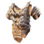 Bone Chest Armor's icon