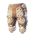 Bone Leg Armor's icon