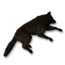 Black Wolf Carcass's icon