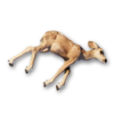 Small Deer Carcass's icon