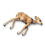 Small Deer Carcass's icon