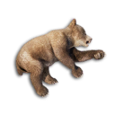 Bear Cub Carcass's icon