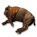 Buffalo Carcass's icon