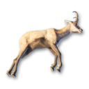 Chamois Carcass's icon