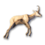 Chamois Carcass's icon