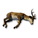 Large Deer Carcass's icon