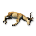 Deer Carcass's icon