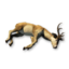 Deer Carcass's icon