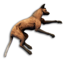 Hyena Carcass's icon