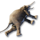 Elephant Carcass's icon
