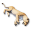 Cougar Carcass's icon