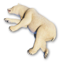 Polar Bear Carcass's icon