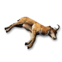 Pronghorn Carcass's icon
