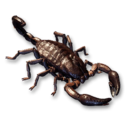 Scorpion Carcass's icon