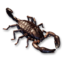 Scorpion Carcass's icon
