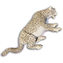 Snow Leopard Carcass's icon