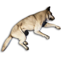 Snow Wolf Carcass's icon