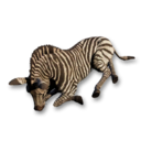 Zebra Carcass's icon