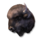Buffalo Vestige's icon