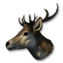 Deer Vestige's icon