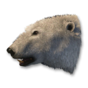 Polar Bear Vestige's icon