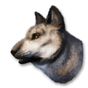 Snow Wolf Vestige's icon