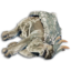 Blueback Carcass's icon