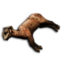 Chala Carcass's icon