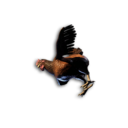 Chicken Carcass's icon