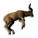 Large Antelope Carcass's icon
