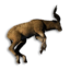 Large Antelope Carcass's icon