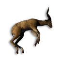 Antelope Carcass's icon