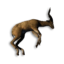 Antelope Carcass's icon