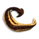 Hammerhead Carcass's icon