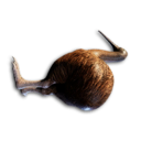 Kiwi Carcass's icon