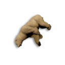 Polar Bear Cub Carcass's icon