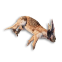 Lava Roat Carcass's icon