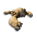 Quarrite Carcass's icon