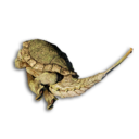 Stryder Carcass's icon