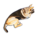 German Shepherd Carcass's icon