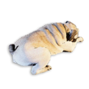 Pug Carcass's icon