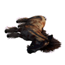 Terrenus Carcass's icon