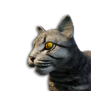Grey Tabby Cat Vestige's icon