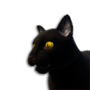 Black Cat Vestige's icon