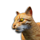 Orange Tabby Cat Vestige's icon