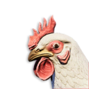 White Chicken Vestige's icon